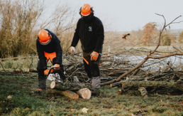 Countryside and Environmental Management